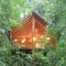 Foto: The Canopy Rainforest Treehouses & Wildlife Sanctuary